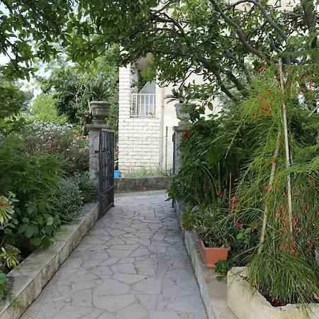 10116c Appartement *